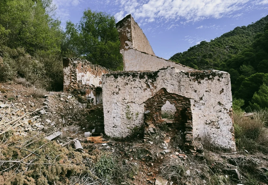 ruine acebuchal